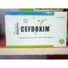 cefdoxim
