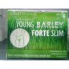 YOUNG BARLEY FORTE SLIM