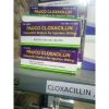 CLOXACILLIN